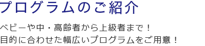 プログラムのご紹介